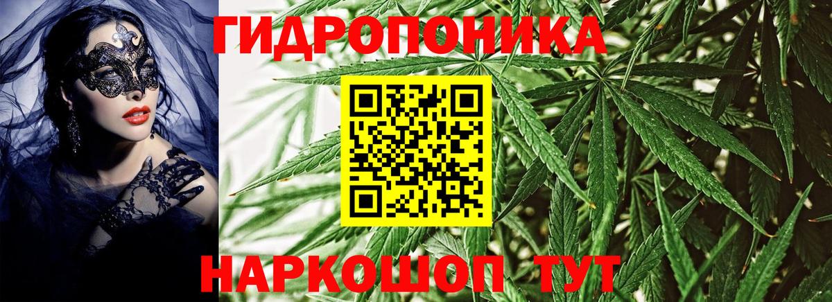Бошки Шишки White Widow  Бошки Шишки THC 21%  Конопля SATIVA & INDICA  Новороссийск  Каннабис тримм  Вход с VPN 